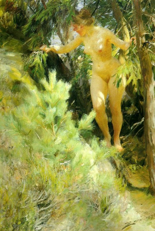 Anders Zorn naken under en gran oil painting image